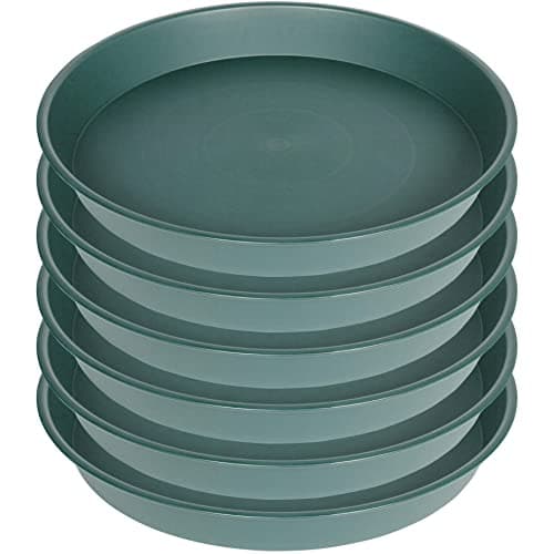 The Best Birdbath Bowls