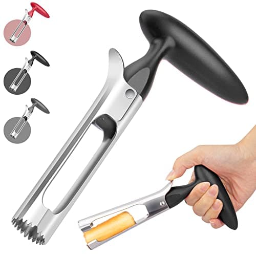 Sharp Stainless Corer