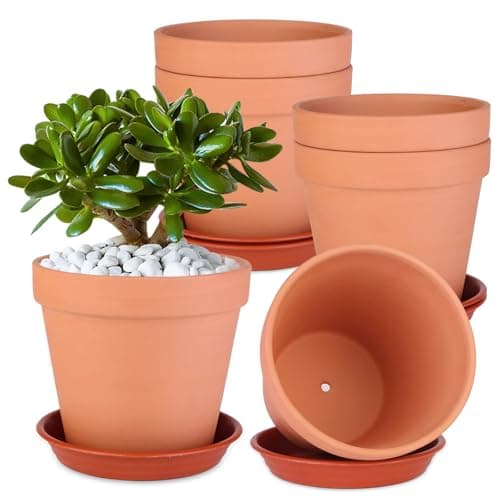 6-Pack Terracotta Set