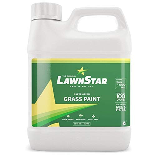Concentrated Grass Paint