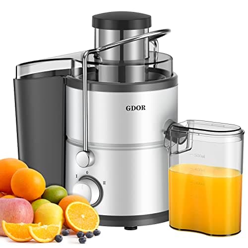 Efficient 800W Juicer