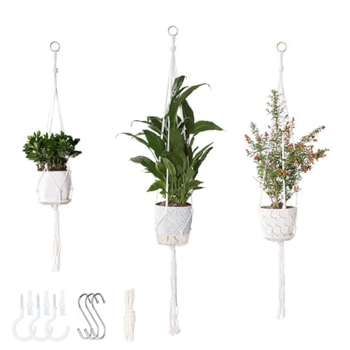 The Best Hanging Planters