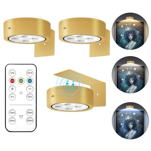 3-Pack Battery Picture Lights