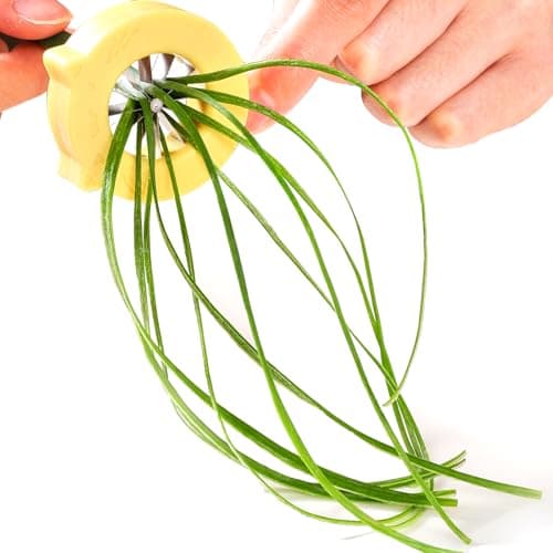 The Best Seasoning & Spice Choppers