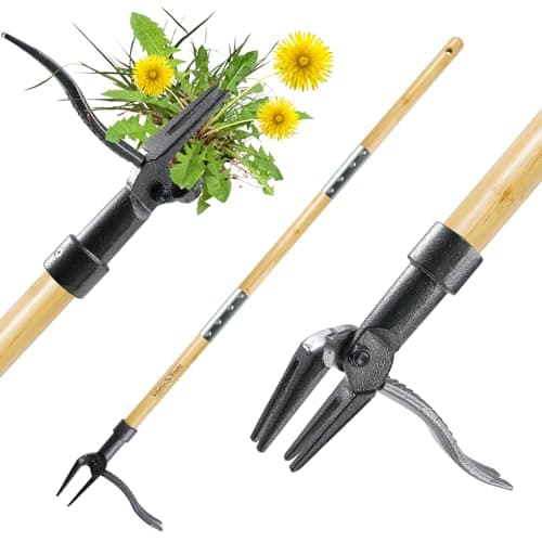 BellaJoyz Bamboo Weeder