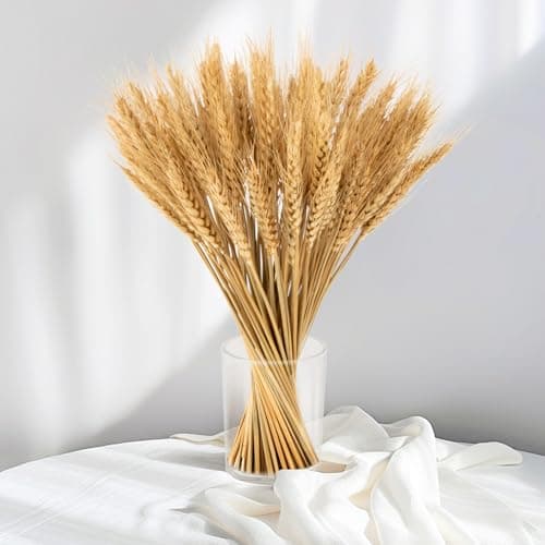The Best Dried Plants