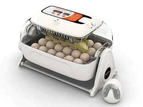 R-Com King Suro 20 Incubator