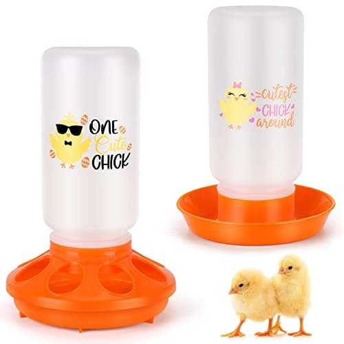 Starter Chick Feeder Set