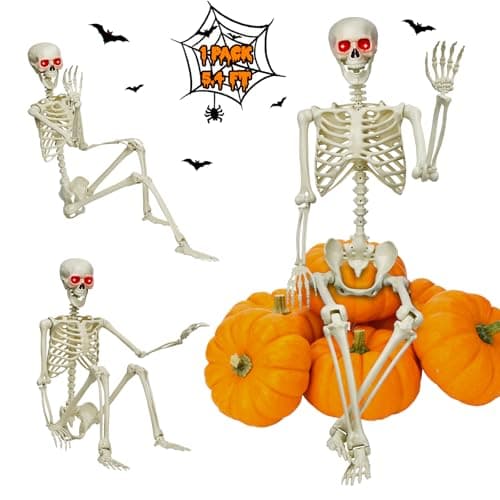 5.4ft Posable Skeleton