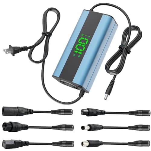 Universal Scooter Charger