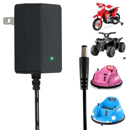 6V Universal Charger