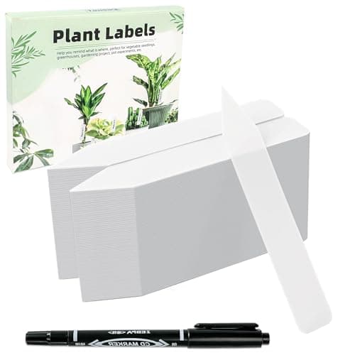 200-Pack 4-Inch Tags