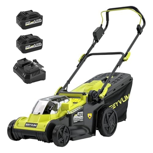 Budget 16-Inch Mower