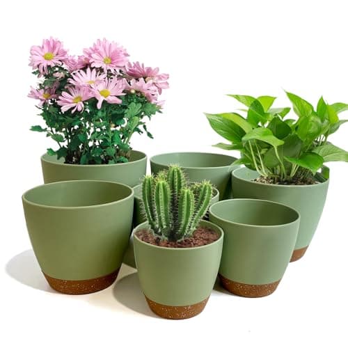 Self-Watering Planter Set