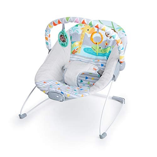 Budget Soothing Bouncer