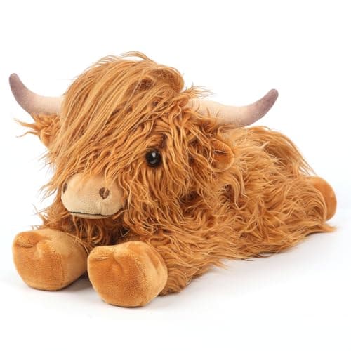 Cuckool Highland Cow