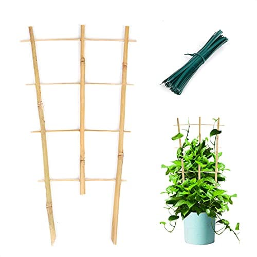 Cambaverd Bamboo Trellis 3 Pack