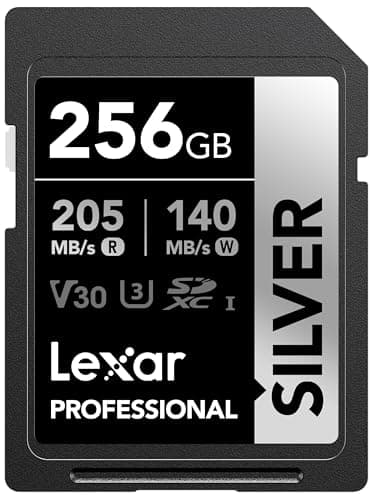Lexar 256GB Silver