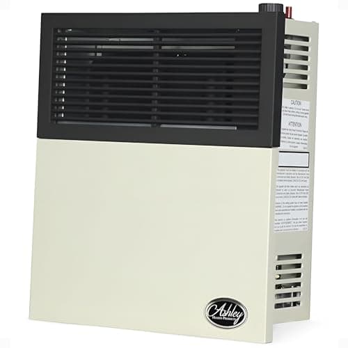 Ashley Hearth Direct-Vent Heater