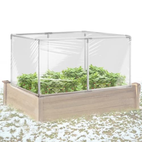 The Best Greenhouse Cold Frames