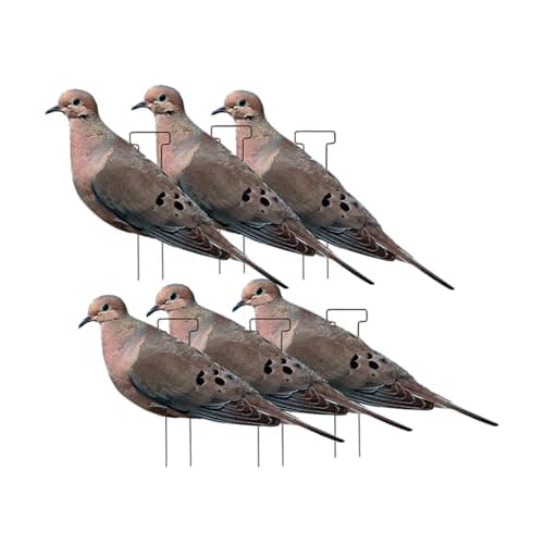 Pro-Grade Dove 6-Pack