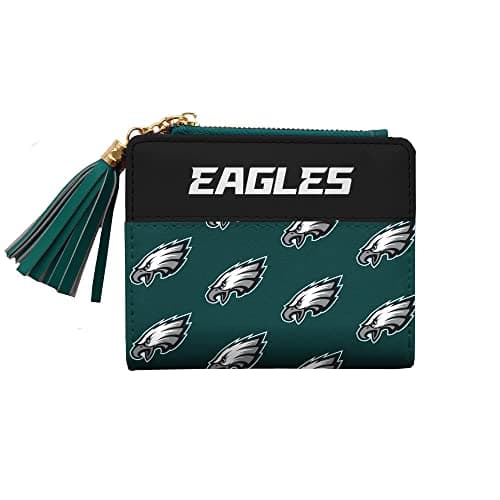 Eagles Mini Organizer