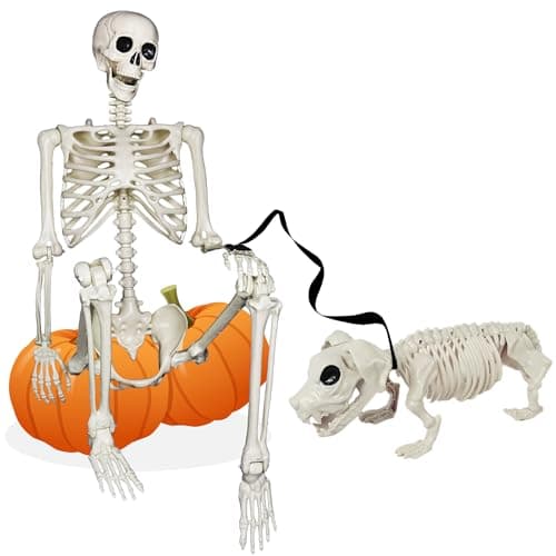 NEROSUN Life-Size Skeleton