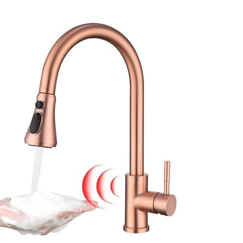 Budget Motion Faucet