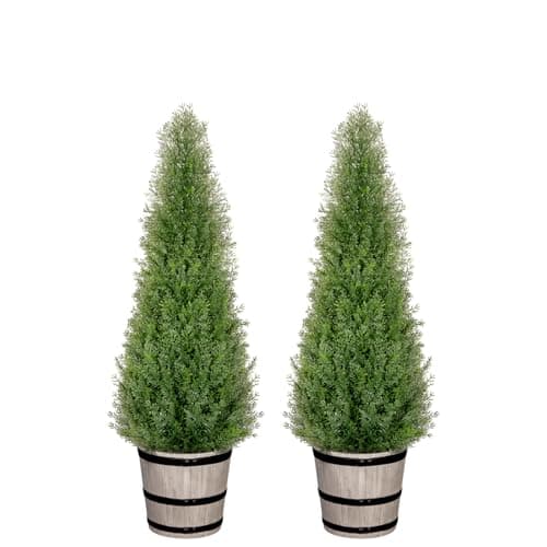 Rustic Barrel Cedar Topiaries