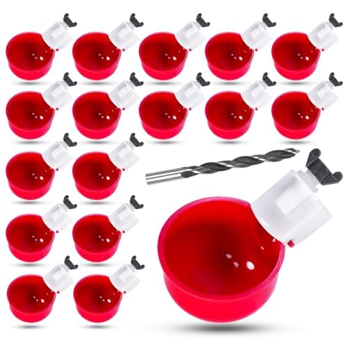 Heavy-Duty 16-Pack Cups