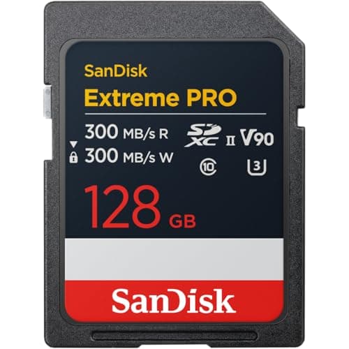 SanDisk UHS-II 128GB