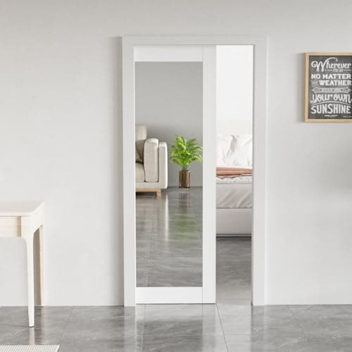 Mirrored Pocket Door