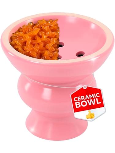 Pink Ceramic Bowl