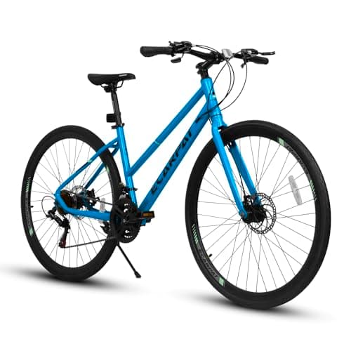 No-Frills 700c Commuter