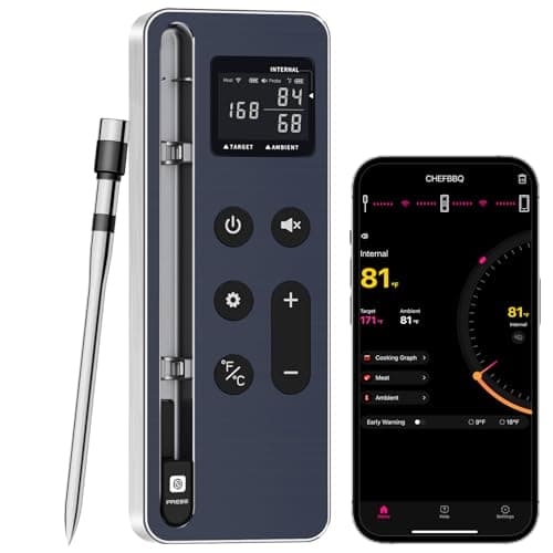 Long-Range Smart Thermometer