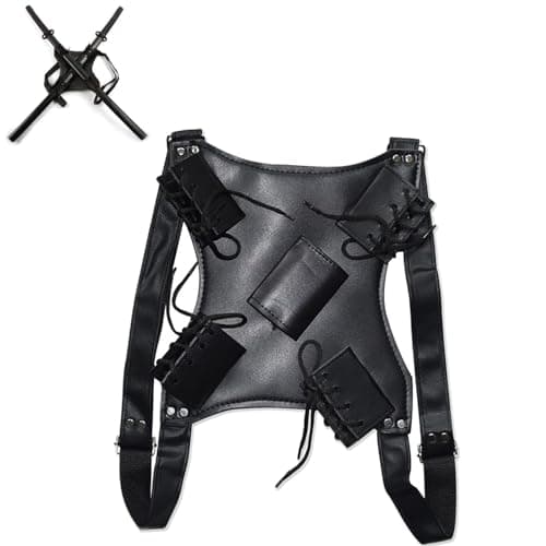Double Sword Holster