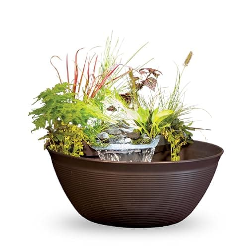 Aquascape Water Garden Kit