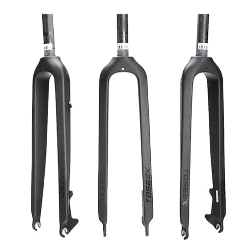 BestParts Carbon Rigid Fork