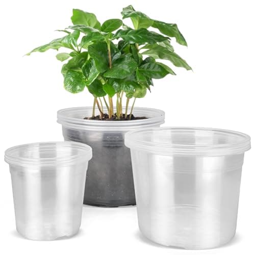 Clear Nursery Multi-Size