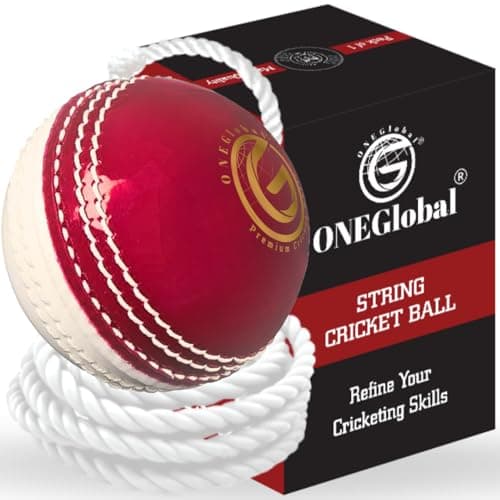 ONEGlobal Incrediball Trainer