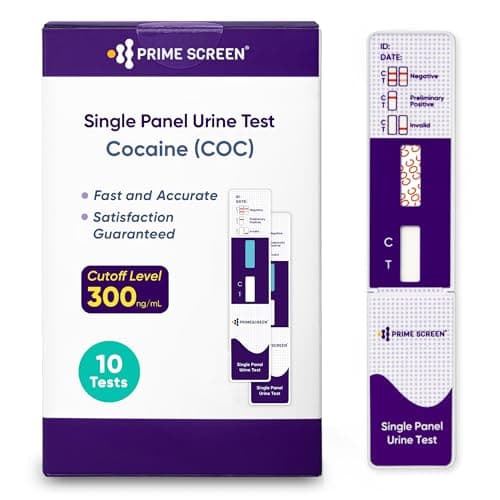 10-Pack Urine Test
