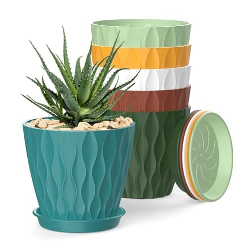 Compact 4-Inch Pots
