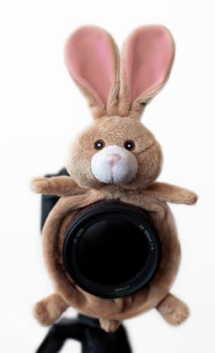 Camera Lens Stand