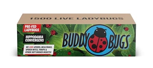 The Best Beneficial Pest Control Insects