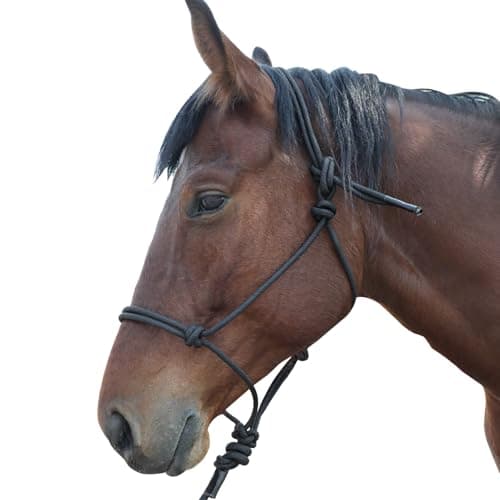 Basic Rope Training Halter