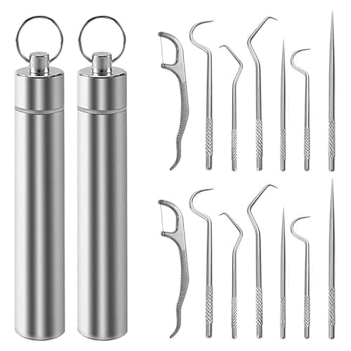 Stainless Steel Travel Picks