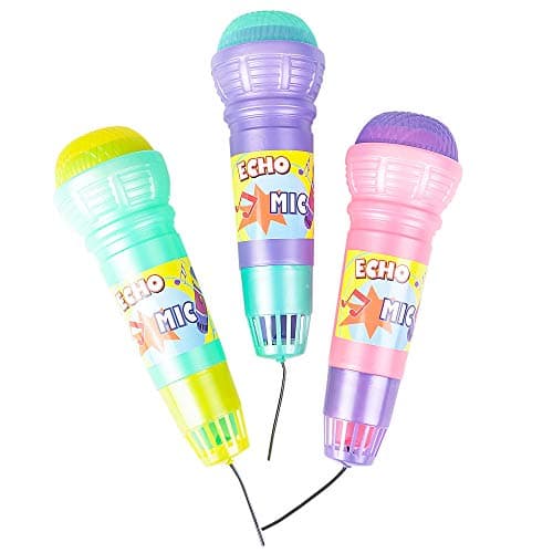 10-Inch Echo Mic