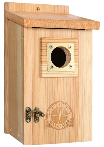 SISTERBIRD Bird Houses
