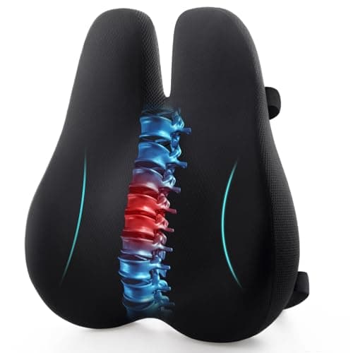 The Best Lumbar Pillows