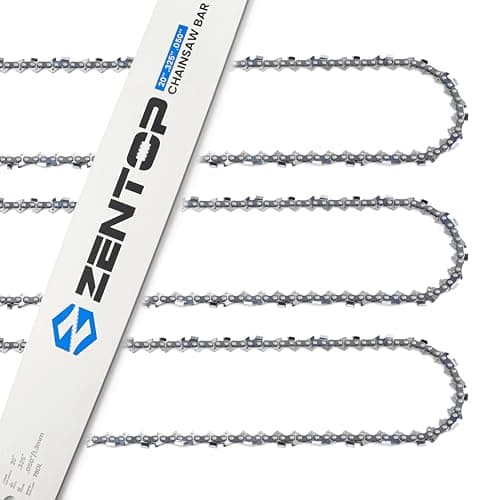 20-Inch Bar & Chains